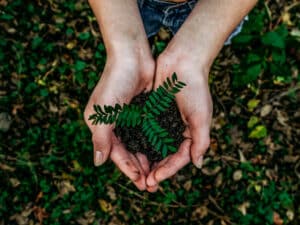 An image of hands cupped together and holding a green plant against a nature backdrop