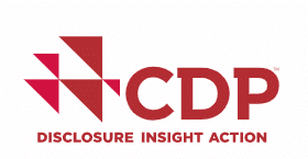 CDP worldwide company logo